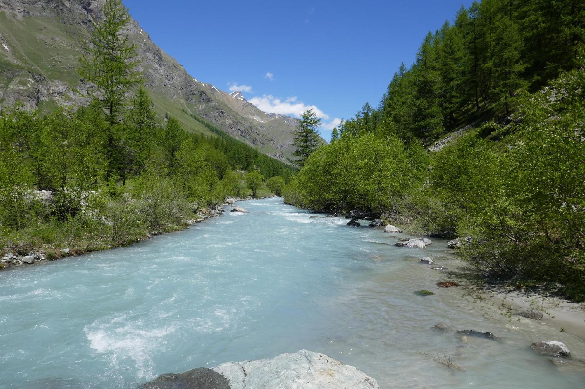 Stefano Alps Apartment Saint Nicolas Luaran gambar